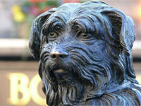 Bobby di Greyfriars